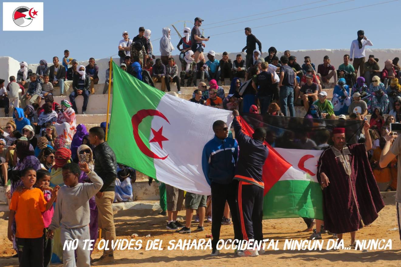 Histoire du drapeau algérien - DIA